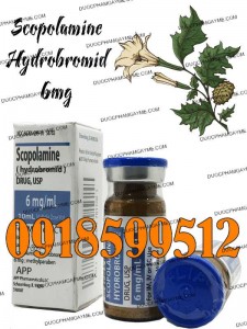 Thuốc Cai Ma Túy Gây Mất Trí Nhớ Scopolami 6mg