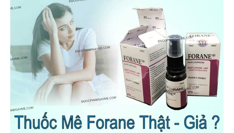 Phân biệt Thuốc mê dạng xịt Forane thật giả như thế nào?