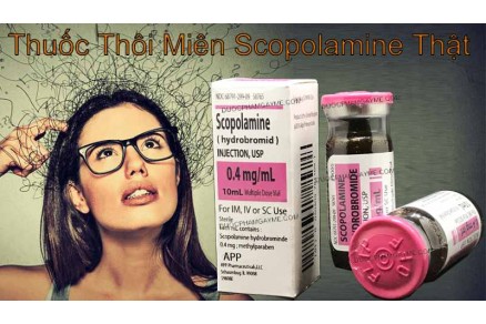 Thuốc thôi miên điều khiển scopolamine phân biệt thế nào